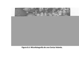 Figura 6.4. Microfotografía de una Ceniza Volante.
 