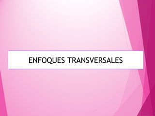 ENFOQUES TRANSVERSALES
 