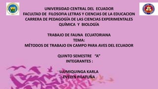 UNIVERSIDAD CENTRAL DEL ECUADOR
FACULTAD DE FILOSOFIA LETRAS Y CIENCIAS DE LA EDUCACION
CARRERA DE PEDAGOGÍA DE LAS CIENCIAS EXPERIMENTALES
QUÍMICA Y BIOLOGÍA
TRABAJO DE FAUNA ECUATORIANA
TEMA:
MÉTODOS DE TRABAJO EN CAMPO PARA AVES DEL ECUADOR
QUINTO SEMESTRE “A”
INTEGRANTES :
LLUMIQUINGA KARLA
EVELYN PILATUÑA
 