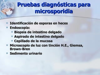 Pruebas diagnósticas para microsporidia Identificación de esporas en heces Endoscopía: Biopsia de intestino delgado Aspirado de intestino delgado Cepillado de la mucosa Microscopio de luz con tinción H.E., Giemsa, Brown-Bren Sedimento urinario 