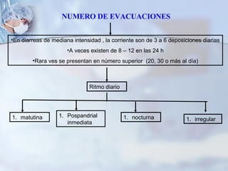 En diarreas de mediana intensidad , la corriente son de 3 a 6 deposiciones diarias A veces existen de 8 – 12 en las 24 h Rara ves se presentan en número superior  (20, 30 o más al día) Ritmo diario matutina Pospandrial inmediata nocturna irregular NUMERO DE EVACUACIONES 