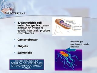 1.- Escherichia coli enterotoxigenica : causan diarreas sin invadir el epitelio intestinal , produce enterotoxinas.  Campylobacter Shigella Salmonella invasores que atraviesan el epitelio intestinal  BACTERIANA:   ESTOS CAUSAN LA DIARREA DEL VIAJERO EN LATINOAMERICA, AFRICA Y ASIA. 