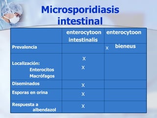 Microsporidiasis intestinal x Respuesta a     albendazol x Esporas en orina x Diseminados x x Localización: Enterocitos Ma...