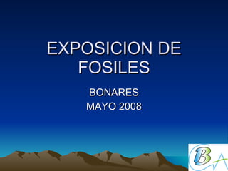 EXPOSICION DE FOSILES BONARES MAYO 2008 