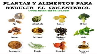 Exposicion de-hipercolesterolemia