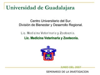 Universidad de Guadalajara Centro Universitario del Sur. División de Bienestar y Desarrollo Regional. Lic. Medicina Veterinaria y Zootecnia. JUNIO DEL 2007  SEMINARIO DE LA INVETIGACION 