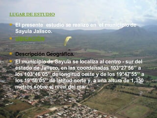 LUGAR DE ESTUDIO El presente  estudio se realizo en  el municipio de Sayula Jalisco. UBICACIÓN Descripción Geográfica. El municipio de Sayula se localiza al centro - sur del estado de Jalisco, en las coordenadas 103°27’56’’ a los 103°46’05’’ de longitud oeste y de los 19°47’55’’ a los 19°56’05’’ de latitud norte y, a una altura de 1,350 metros sobre el nivel del mar.  