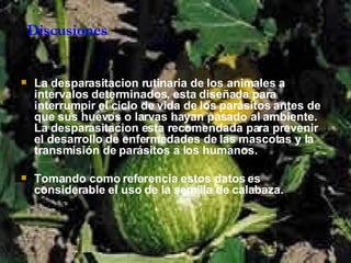 Discusiones   La desparasitacion rutinaria de los animales a intervalos determinados, esta diseñada para interrumpir el ciclo de vida de los parásitos antes de que sus huevos o larvas hayan pasado al ambiente. La desparasitacion esta recomendada para prevenir el desarrollo de enfermedades de las mascotas y la transmisión de parásitos a los humanos.  Tomando como referencia estos datos es considerable el uso de la semilla de calabaza. 