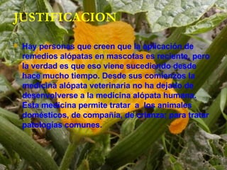 JUSTIFICACION Hay personas que creen que la aplicación de remedios alópatas en mascotas es reciente, pero la verdad es que eso viene sucediendo desde hace mucho tiempo. Desde sus comienzos la medicina alópata veterinaria no ha dejado de desenvolverse a la medicina alópata humana. Esta medicina permite tratar  a  los animales domésticos, de compañía, de crianza; para tratar patologías comunes.   
