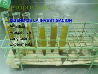 METODOLOGIA DISEÑO DE LA INVESTIGACION Analítica Prospectiva Longitudinal Experimental  