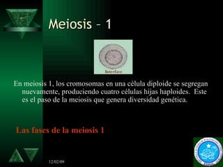 Meiosis – 1 <ul><li>En meiosis 1, los cromosomas en una célula diploide se segregan nuevamente, produciendo cuatro células...