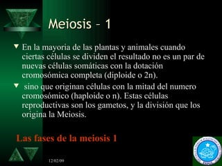 Meiosis – 1 <ul><li>En la mayoria de las plantas y animales cuando ciertas células se dividen el resultado no es un par de...