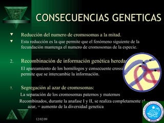 CONSECUENCIAS GENETICAS <ul><li>Reducción del numero de cromosomas a la mitad. </li></ul><ul><li>Esta reducción es la que ...