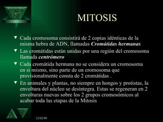 MITOSIS Cada cromosoma consistirá de 2 copias idénticas de la misma hebra de ADN, llamadas  Cromátidas hermanas Las cromátidas están unidas por una región del cromosoma llamada  centrómero Cada cromátida hermana no se considera un cromosoma en si mismo, sino parte de un cromosoma que provisionalmente consta de 2 cromátidas . En animales y plantas, no siempre en hongos y protistas, la envoltura del núcleo se desintegra. Estas se regeneran en 2 envolturas nuevas sobre los 2 grupos cromosómicos al acabar toda las etapas de la Mitosis 