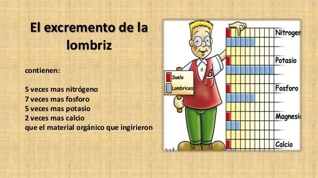 Las adivinanzas sobre las setas los parásitos con las respuestas