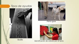 Braille
Identificación de colores por el tacto
Perro guía
 