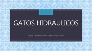 CGATOS HIDRÁULICOS
Equipo 2: Gabriela, Diana, Ashley, Julio y Rosario
 