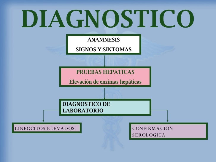 Exposicion Hepatitis B Exposicion Hepatitis B