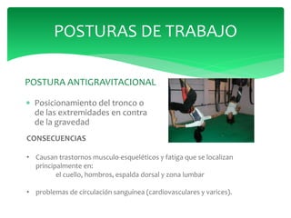  Posicionamiento del tronco o
de las extremidades en contra
de la gravedad
POSTURAS DE TRABAJO
POSTURA ANTIGRAVITACIONAL
CONSECUENCIAS
• Causan trastornos musculo-esqueléticos y fatiga que se localizan
principalmente en:
el cuello, hombros, espalda dorsal y zona lumbar
• problemas de circulación sanguínea (cardiovasculares y varices).
 