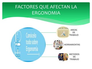 AREAS
DE
TRABAJO
HERRAMIENTAS
METODOS
DE
TRABAJO
FACTORES QUE AFECTAN LA
ERGONOMIA
 