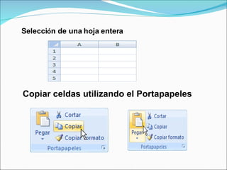Selecci ó n de una hoja entera  Copiar celdas utilizando el Portapapeles 