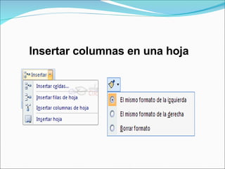 Insertar columnas en una hoja 