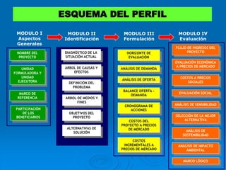 NOMBRE DEL
PROYECTO
UNIDAD
FORMULADORA Y
UNIDAD
EJECUTORA
MARCO DE
REFERENCIA
ANÁLISIS DE DEMANDA
ANÁLISIS DE OFERTA
BALANCE OFERTA -
DEMANDA
HORIZONTE DE
EVALUACIÓN
COSTOS DEL
PROYECTO A PRECIOS
DE MERCADO
CRONOGRAMA DE
ACCIONES
FLUJO DE INGRESOS DEL
PROYECTO
EVALUACIÓN ECONÓMICA
A PRECIOS DE MERCADO
COSTOS A PRECIOS
SOCIALES
EVALUACIÓN SOCIAL
ANÁLISIS DE IMPACTO
AMBIENTAL
ANÁLISIS DE
SOSTENIBILIDAD
SELECCIÓN DE LA MEJOR
ALTERNATIVA
ANÁLISIS DE SENSIBILIDAD
COSTOS
INCREMENTALES A
PRECIOS DE MERCADO
MARCO LÓGICO
MODULO I
Aspectos
Generales
ESQUEMA DEL PERFIL
MODULO II
Identificación
MODULO III
Formulación
MODULO IV
Evaluación
PARTICIPACIÓN
DE LOS
BENEFICIARIOS
DIAGNÓSTICO DE LA
SITUACIÓN ACTUAL
DEFINICIÓN DEL
PROBLEMA
ALTERNATIVAS DE
SOLUCIÓN
OBJETIVOS DEL
PROYECTO
ARBOL DE CAUSAS Y
EFECTOS
ARBOL DE MEDIOS Y
FINES
 