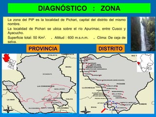46
PROVINCIA DISTRITO
DIAGNÓSTICO : ZONA
• La zona del PIP es la localidad de Pichari, capital del distrito del mismo
nombre.
• La localidad de Pichari se ubica sobre el río Apurímac, entre Cusco y
Ayacucho.
• Superficie total: 50 Km2. . Altitud : 600 m.s.n.m. . Clima: De ceja de
selva.
 