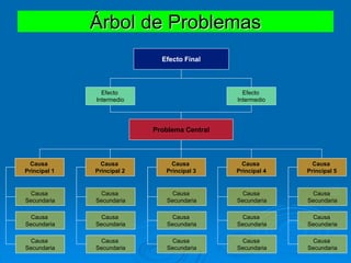 Árbol de Problemas
Causa
Principal 1
Causa
Secundaria
Causa
Secundaria
Causa
Secundaria
Causa
Principal 2
Causa
Secundaria
Causa
Secundaria
Causa
Secundaria
Causa
Principal 3
Causa
Secundaria
Causa
Secundaria
Causa
Secundaria
Causa
Principal 4
Causa
Secundaria
Causa
Secundaria
Causa
Secundaria
Causa
Principal 5
Causa
Secundaria
Causa
Secundaria
Causa
Secundaria
Problema Central
Efecto
Intermedio
Efecto
Intermedio
Efecto Final
 