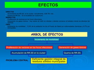 ARBOL DE EFECTOS
Incremento de morbilidad
Quema de RR.SS.
Generación de gases tóxicosProliferación de vectores en los focos infecciosos
Acumulación de RR.SS en la ciudad
Deficiente gestión integral de
residuos sólidos municipalesPROBLEMA CENTRAL
EFECTOS
DIRECTOS
• Acumulación de RR.SS. en la ciudad : Actualmente, 0,86 TM / día.
• Quema de RR.SS. : En la localidad de Ccatunrumi.
INDIRECTOS
• Proliferación de vectores en los focos infecciosos.
• Generación de gases tóxicos : Hay restos de hollín en árboles y plantas cercanos al botadero donde se efectúan las
quemas.
FINAL
• Incremento de morbilidad : 13,9% de la población ha ido al Puesto de Salud por enfermedades diarreicas y 6,7% por
bronquiales.
 