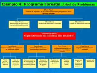 Efecto Final:
Aumento de la pobreza de los productores rurales y degradación de los
recursos naturales
Problema Central:
Negocios forestales no sostenibles y poco competitivos
Efecto Directo:
Pérdida de la diversidad biológica
Efecto Directo:
Aumento del desempleo y subempleo
Causa Directa:
Atraso tecnológico de la producción y
de la industria forestal
Efecto Directo:
Bajos niveles de producción y
aumento del déficit comercial
Causa Directa:
Débil institucionalidad de los
productores y de entidades
privadas
Causa Directa:
Limitada oferta de servicios
financieros y no financieros
Falta de
AT y de
Centros de
negocios
Falta de
capacitación
en gestión
empresarial
Desconocimiento de
las oportunidades de
mercados y de
información comercial
Escasez de
financiamiento
para inversión
de mediano
plazo
Fragilidad de
organizaciones
gremiales
Falta de
entidades
privadas
sólidas
Ejemplo 4: Programa Forestal :Árbol de Problemas
Causa Directa:
Degradación de los recursos
forestales
Escaso valor
de los
beneficios de
los servicios
ambientales
Aumento de la
deforestación
 