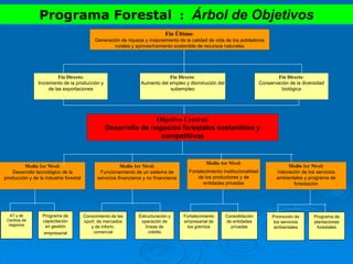 Fin Último:
Generación de riqueza y mejoramiento de la calidad de vida de los pobladores
rurales y aprovechamiento sostenible de recursos naturales
Objetivo Central:
Desarrollo de negocios forestales sostenibles y
competitivos
Fin Directo:
Conservación de la diversidad
biológica
Fin Directo:
Aumento del empleo y disminución del
subempleo
Fin Directo:
Incremento de la producción y
de las exportaciones
Programa Forestal : Árbol de Objetivos
Medio 1er Nivel:
Desarrollo tecnológico de la
producción y de la industria forestal
Medio 1er Nivel:
Fortalecimiento institucionalidad
de los productores y de
entidades privadas
Medio 1er Nivel:
Funcionamiento de un sistema de
servicios financieros y no financieros
AT y de
Centros de
negocios
Programa de
capacitación
en gestión
empresarial
Conocimiento de las
oport. de mercados
y de inform.
comercial
Estructuración y
operación de
líneas de
crédito
Fortalecimiento
empresarial de
los gremios
Consolidación
de entidades
privadas
Medio 1er Nivel:
Valoración de los servicios
ambientales y programa de
forestación
Promoción de
los servicios
ambientales
Programa de
plantaciones
forestales
 