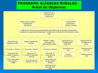 PROGRAMA ALIANZAS RURALES :
Árbol de Objetivos
Mejorar los activos y las oportunidades económicas de las familias campesinas y
fortalecer las capacidades regionales y locales para el desarrollo territorial de la sierra
rural.
Mejora de los niveles
de seguridad
alimentaría
Incremento de
producción,
empleo e ingreso
Promoción de
negocios rurales
Apoyo al desarrollo
comunal
Fortalec. Instituc.
y formación de
capacidades locales
Construcción de
infraestructura
productiva
Reducción de la
pobreza en la
sierra rural
Construcción de
infraestructura
social
Promoción y difusión
Elaboración de
planes de negocios
rurales.
Promoción y difusión
Elaboración de
planes de desarrollo
comunal
Fondo de apoyo al
desarrollo comunal
Promoción y difusión
Desarrollo de
instrumentos de
gestión.
Fortalecimiento de
las capacidades
locales
Infraestructura de
riego
Vías de
comunicación
Fondo concursable
para negocios
rurales
Infraestructura de
educación
Infraestructura de
salud
Coordinación del
desarrollo de la
sierra
 