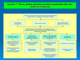 Ejemplo 7: "Puno, primer destino turístico sostenible del sur“
( Árbol de Problemas)
Contribuir a mejorar el nivel de ingresos de los pobladores de
la región Puno, vinculados a la actividad turística
Insuficientes
competencias
Bajo nivel de ventas
Débil capacidad de
negociación comercial
Débil inserción y participación de los pobladores en la
actividad turística bajo un enfoque de desarrollo ambiental y
socialmente sostenible
Insuficiente
infraestructura
Carreteras en mal estado
Aeropuerto con poca
capacidad
Débil promoción de
circuitos turísticos
Desconocimiento del
potencial turístico de los
recursos en zonas
aledañas
Débil aprovechamiento
comercial,
posicionamiento y venta
de circuitos turísticos
Bajo nivel de
competencias en
pobladores y MYPES
Insuficiente capacitación,
asistencia técnica e
información
Débil acceso al
financiamiento
Entorno poco favorable
para la sostenibilidad de
los circuitos
Insuficiente Información
y sensibilización de la
población
Insuficiente apoyo a
servicios de capacitación
y asistencia técnica
Espacios de concertación
multiactores débiles y
poco dinámicos.
Contribuir a mejorar el nivel de ingresos de los pobladores de
la región Puno, vinculados a la actividad turística
Insuficientes
competencias
Bajo nivel de ventas
Débil capacidad de
negociación comercial
Débil inserción y participación de los pobladores en la
actividad turística bajo un enfoque de desarrollo ambiental y
socialmente sostenible
Insuficiente
infraestructura
Carreteras en mal estado
Aeropuerto con poca
capacidad
Débil promoción de
circuitos turísticos
Desconocimiento del
potencial turístico de los
recursos en zonas
aledañas
Débil aprovechamiento
comercial,
posicionamiento y venta
de circuitos turísticos
Bajo nivel de
competencias en
pobladores y MYPES
Insuficiente capacitación,
asistencia técnica e
información
Débil acceso al
financiamiento
Entorno poco favorable
para la sostenibilidad de
los circuitos
Insuficiente Información
y sensibilización de la
población
Insuficiente apoyo a
servicios de capacitación
y asistencia técnica
Espacios de concertación
multiactores débiles y
poco dinámicos.
 