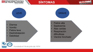 SÍNTOMAS
LEVE GRAVE
• Diarrea
• Vomito
• Fiebre leve
• Deshidratación
• Debilidad
• Fiebre alta
• Septicemia
• Alas caídas
• Respiración
dificultosa
• Vientre hinchado
 