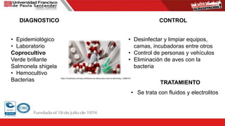 CONTROL
• Desinfectar y limpiar equipos,
camas, incubadoras entre otros
• Control de personas y vehículos
• Eliminación de aves con la
bacteria
TRATAMIENTO
• Se trata con fluidos y electrolitos
https://muyfitness.com/que-antibiotico-se-utiliza-para-curar-la-salmonela_13068107/
DIAGNOSTICO
• Epidemiológico
• Laboratorio
Coprocultivo
Verde brillante
Salmonela shigela
• Hemocultivo
Bacterias
 
