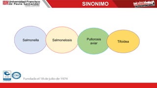 SINONIMO
Salmonella Salmonelosis Pullorosis
aviar Tifoidea
 