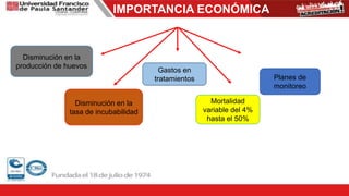 IMPORTANCIA ECONÓMICA
Disminución en la
producción de huevos
Disminución en la
tasa de incubabilidad
Gastos en
tratamientos
Mortalidad
variable del 4%
hasta el 50%
Planes de
monitoreo
 