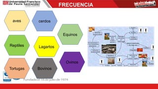 FRECUENCIA
Reptiles
Tortugas
Lagartos
aves cerdos
Bovinos
Ovinos
Equinos
 