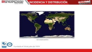 INCIDENCIA Y DISTRIBUCIÓN
https://es.wikipedia.org/wiki/Mundo
 
