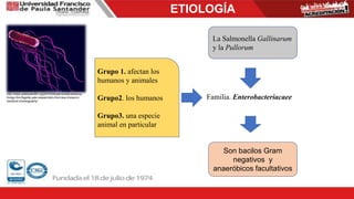ETIOLOGÍA
Familia. Enterobacteriacaee
Son bacilos Gram
negativos y
anaeróbicos facultativos
La Salmonella Gallinarum
y la Pullorum
http://www.yalescientific.org/2015/05/salmonella-enterica-
forego-the-flagella-yale-researchers-find-new-moves-in-
bacterial-choreography/
Grupo 1. afectan los
humanos y animales
Grupo2. los humanos
Grupo3. una especie
animal en particular
 
