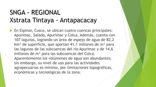 SNGA - REGIONAL
Xstrata Tintaya - Antapacacay
 En Espinar, Cusco, se ubican cuatro cuencas principales:
Apurímac, Salado, Apurímac y Colca. Además, cuenta con
107 lagunas, logrando un área de espejo de agua de 82,2
km² de superficie, que aportan 41,1 millones de m³ para
las lagunas de las subcuencas del río Apurimac y de 14,6
millones de m³ para las subcuencas del Colca.
Aparentemente los volúmenes de agua son abundantes;
sin embargo, su nivel de uso para las actividades
agropecuarias es mínimo, por limitaciones topográficas,
económicas y tecnológicas de la zona.
 