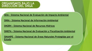ORGANISMOS BAJO LA
DIRECCIÓN DEL SNGA
SEIA - Sistema Nacional de Evaluación de Impacto Ambiental
SINIA - Sistema Nacional de Información Ambiental
SNGRH - Sistema Nacional de Recursos Hídricos
SINEFA - Sistema Nacional de Evaluación y Fiscalización Ambiental
SINANPE - Sistema Nacional de Áreas Naturales Protegidas por el
Estado
 
