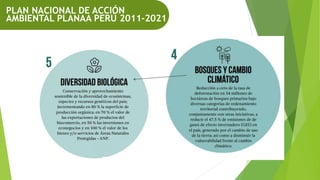 PLAN NACIONAL DE ACCIÓN
AMBIENTAL PLANAA PERÚ 2011-2021
 