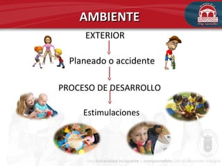 AMBIENTEAMBIENTE
EXTERIOR
Planeado o accidente
PROCESO DE DESARROLLO
Estimulaciones
 