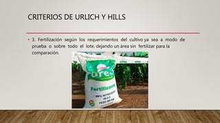 CRITERIOS DE URLICH Y HILLS
• 3. Fertilización según los requerimientos del cultivo ya sea a modo de
prueba o sobre todo el lote, dejando un área sin fertilizar para la
comparación.
 