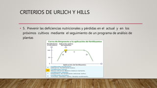 CRITERIOS DE URLICH Y HILLS
• 5. Prevenir las deficiencias nutricionales y pérdidas en el actual y en los
próximos cultivos mediante el seguimiento de un programa de análisis de
plantas
 