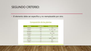 SEGUNDO CRITERIO:
• El elemento debe ser específico y no reemplazable por otro.
 