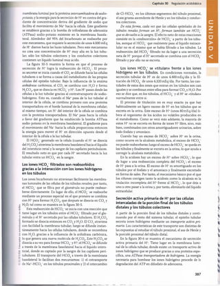 O
I
LSr.Vir.K.
Fotocopiar
sin
autorización
e
s
u
n
delito.
Capítulo 30 Regulación acidobásica
membrana luminal por la proteína intercambiadora de sodio-
potasio, y la energía para la secreción de H+en contra del gra­
diente de concentración deriva del gradiente de sodio que
facilita el movimiento de Na+hacia la célula. Este gradiente
se establece gracias a la bomba de trifosfatasa de adenosina
(ATPasa) sodio-potasio existente en la membrana basola-
teral. Alrededor del 95% del bicarbonato se reabsorbe por
este mecanismo, que requiere la secreción de unos 4.000 mEq
de H+diarios hacia las luces tubulares. Pero este mecanismo
no crea una concentración de H+ muy alta en la luz tubu­
lar; sólo los túbulos colectores y los conductos colectores
contienen un líquido luminal muy ácido.
La figura 30-5 muestra la forma en que el proceso de
secreción de H+ logra la reabsorción de H C 0 3~. El proce­
so secretor se inicia cuando el C 0 2se difunde hacia las células
tubulares o se forma a causa del metabolismo de las propias
células del epitelio tubular. Bajo la influencia de la enzima
anhidrasa carbónica, el C 0 2 se combina con H20 y forma
H2C 0 3, que se disocia en H C 03~y H+. Los H+pasan desde las
células a la luz tubular gracias al contratransporte de sodio-
hidrógeno. Esto es, cuando el Na+ pasa de la luz tubular al
interior de la célula, se combina primero con una proteína
transportadora en el borde luminal de la membrana celular;
al mismo tiempo, un H+del interior de la célula se combina
con la proteína transportadora. El Na+ pasa hacia la célula
a favor del gradiente que ha establecido la bomba ATPasa
sodio-potasio en la membrana basolateral. El gradiente para
el movimiento del Na+hacia la célula proporciona entonces
la energía para mover el H+ en dirección opuesta desde el
interior de la célula a la luz tubular.
El H C 03~ generado en la célula (cuando el H+se disocia
del H2COs) atraviesa la membrana basolateral hacia el líquido
del intersticio renal y la sangre de los capilares peritubulares.
El resultado neto es que por cada H+secretado hacia la luz
tubular entra un H C 03- en la sangre.
Los iones H C 0 3
~filtrados son reabsorbidos
gracias a la interacción con los iones hidrógeno
en los túbulos
Los iones bicarbonato no atraviesan fácilmente las membra­
nas luminales de las células de los túbulos renales; por tanto,
el H C 0 3~ que se filtra por el glomérulo no puede reabsor­
berse directamente. En lugar de ello, el H C 0 3_ se reabsorbe
mediante un proceso especial en el que primero se combina
con H +para formar H2C 0 3, que después se disocia en C 0 2y
H20 , tal como se muestra en la figura 30-5.
Esta reabsorción de H C 0 3~se inicia con una reacción que
tiene lugar en los túbulos entre el H C 03_ filtrado por el glo­
mérulo y el H+secretado por las células tubulares. El H2C 0 3
formado se disocia entonces en C 0 2y H20 . El C 0 2atraviesa
con facilidad la membrana tubular; luego se difunde instan­
táneamente hacia las células tubulares, donde se recombina
con H20 , gracias a la influencia de la anhidrasa carbónica,
lo que genera una nueva molécula de H2C 0 3. Este H2COs se
disocia a su vez para formar H C 0 3~y H+;el H C 0 3_se difunde
a través de la membrana basolateral hacia el líquido inters­
ticial, donde es captado por la sangre de los capilares peri­
tubulares. El transporte del HCOs a través de la membrana
basolateral lo facilitan dos mecanismos: 1) el cotransporte
de Na+-H C 03~en los túbulos proximales y 2) el intercambio
de C1-HC03_en los últimos segmentos del tùbulo proximal,
el asa gruesa ascendente de Henle y en los túbulos y conduc­
tos colectores.
De esta forma, cada vez que las células epiteliales de los
túbulos renales forman un H +
, form an también un HCO~
que es devuelto a la sangre. El efecto neto de estas reacciones
consiste en la «reabsorción» de H C 0 3~ a partir de los túbu­
los, aunque el H C 0 3 que realmente pasa al líquido extrace-
lular no es el mismo que se había filtrado a los túbulos. La
reabsorción del H C 0 3” filtrado no da lugar a una secreción
neta de H+porque el H+secretado se combina con el HCOs~
filtrado y por ello no se excreta.
Los iones HCC3
~ se «titulan» frente a los iones
hidrógeno en los túbulos. En condiciones normales, la
secreción tubular de H+ es de unos 4.400 mEq/día y la fil­
tración de H C 0 3~de unos 4.320 mEq/día. Por tanto, las can­
tidades de estos dos iones que entran en los túbulos son casi
iguales y se combinan entre ellos para formar C 0 2y H20 . Por
eso se dice que, en los túbulos, el HCOs~y el H+se «titulan»
normalmente entre sí.
El proceso de titulación no es muy exacto ya que hay
habitualmente un ligero exceso de H+ en los túbulos que se
excreta en la orina. Este exceso de H+(unos 80 mEq/día) li­
bera al organismo de los ácidos no volátiles producidos en
el metabolismo. Como se verá más adelante, la mayoría de
estos H+no se excreta en forma de iones H+libre, sino, más
bien, combinados con otros amortiguadores urinarios, sobre
todo fosfato y amoníaco.
Cuando hay un exceso de H C 0 3~ sobre H+ en la orina,
como ocurre en la alcalosis metabòlica, el exceso de H C 0 3_
no puede reabsorberse; luego el exceso de H C 0 3~se queda en
los túbulos y finalmente se excreta en la orina, lo que ayuda a
corregir la alcalosis metabòlica.
En la acidosis hay un exceso de H+ sobre H C 03~, lo que
da lugar a una reabsorción completa del H C 0 3~; el exceso
de H+pasa a la orina. El exceso de H+es amortiguado en los
túbulos por el fosfato y el amoníaco y finalmente excretado
en forma de sales. Por tanto, el mecanismo básico por el que
los riñones corrigen tanto la acidosis como la alcalosis es la
titulación incompleta del H+ frente al H C 0 3_, lo que deja a
uno u otro pasar a la orina y, por tanto, eliminarlo del líquido
extíacelular.
Secreción activa primaria de H+por las células
intercaladas de la porción final de los túbulos
distales y los túbulos colectores
A partir de la porción final de los túbulos distales y conti­
nuando por el resto del sistema tubular, el epitelio tubular
secreta iones hidrógeno mediante un transporte activo pri­
mario. Las características de este transporte son distintas de
las expuestas al estudiar el tùbulo proximal, el asa de Henle y
la porción proximal del tùbulo distai.
En la figura 30-6 se muestra el mecanismo de secreción
activa primaria del H  Tiene lugar en la membrana lumi­
nal de la célula tubular, donde existe un transporte activo de
iones hidrógeno que se produce gracias a una proteína espe­
cífica, una ATPasa transportadora de hidrógeno. La energía
necesaria para bombear los iones hidrógeno procede de la
degradación del ATP en difosfato de adenosina.
c
z
387
桴瑰㨯⽢潯歳浥摩捯献潲
桴瑰㨯⽢潯歳浥摩捯献潲
 