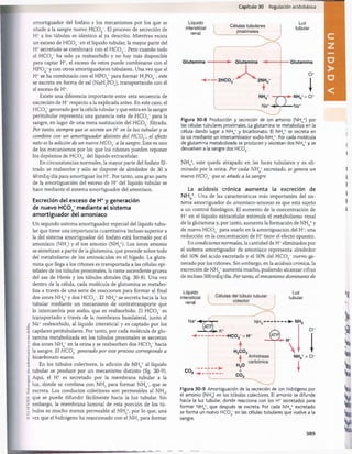 E
D
l'.I.Sr.Vir.U.
l-otocopiar
sin
autorización
es
un
delito.
Capítulo 30 Regulación acidobásica
amortiguador del fosfato y los mecanismos por los que se
añade a la sangre nuevo H C 0 3~. El proceso de secreción de
H+ a los túbulos es idéntico al ya descrito. Mientras exista
un exceso de H C 0 3~en el líquido tubular, la mayor parte del
H+secretado se combinará con el H C 03. Pero cuando todo
el H C 0 3' ha sido ya reabsorbido y no hay más disponible
para captar H+, el exceso de estos puede combinarse con el
H P 04=y con otros amortiguadores tubulares. Una vez que el
H+se ha combinado con el H P 04* para formar H2P 0 4~, este
se excreta en forma de sal (NaH2P 0 4), transportando con él
el exceso de H+.
Existe una diferencia importante entre esta secuencia de
excreción de H+respecto a la explicada antes. En este caso, el
H C 03 generado por la célula tubular y que entra en la sangre
peritubular representa una ganancia neta de H C 0 3_ para la
sangre, en lugar de una mera sustitución del H C 0 3“ filtrado.
Por tanto, siempre que se secrete un H * en la luz tubular y se
combine con un amortiguador distinto del H COf, el efecto
neto es la adición de un nuevo H C O f a la sangre. Este es uno
de los mecanismos por los que los riñones pueden reponer
los depósitos de H C 0 3~del líquido extracelular.
En circunstancias normales, la mayor parte del fosfato fil­
trado se reabsorbe y sólo se dispone de alrededor de 30 a
40mEq/día para amortiguar los H+. Por tanto, una gran parte
de la amortiguación del exceso de H+del líquido tubular se
hace mediante el sistema amortiguador del amoníaco.
Excreción del exceso de H+y generación
de nuevo H C 0 3
- mediante el sistema
amortiguador del amoníaco
Un segundo sistema amortiguador especial del líquido tubu­
lar que tiene una importancia cuantitativa incluso superior a
la del sistema amortiguador del fosfato está formado por el
amoníaco (NH3) y el ion amonio (NH4+). Los iones amonio
se sintetizan a partir de la glutamina, que procede sobre todo
del metabolismo de los aminoácidos en el hígado. La gluta­
mina que llega a los riñones es transportada a las células epi­
teliales de los túbulos proximales, la rama ascendente gruesa
del asa de Henle y los túbulos distales (fig. 30-8). Una vez
dentro de la célula, cada molécula de glutamina se metabo-
liza a través de una serie de reacciones para formar al final
dos iones NH,+y dos HCO , El NH,+se secreta hacia la luz
4 i 3 4
tubular mediante un mecanismo de contratransporte que
lo intercambia por sodio, que es reabsorbido. El H C 0 3~ es
transportado a través de la membrana basolateral, junto al
Na+ reabsorbido, al líquido intersticial y es captado por los
capilares peritubulares. Por tanto, por cada molécula de glu­
tamina metabolizada en los túbulos proximales se secretan
dos iones NH4*en la orina y se reabsorben dos H C 0 3_ hacia
la sangre. El H C O f generado por este proceso corresponde a
bicarbonato nuevo.
En los túbulos colectores, la adición de NH4+ al líquido
tubular se produce por un mecanismo distinto (fig. 30-9).
Aquí, el H+ es secretado por la membrana tubular a la
luz, donde se combina con NH3 para formar NH4+, que se
excreta. Los conductos colectores son permeables al NH3,
que se puede difundir fácilmente hacia la luz tubular. Sin
embargo, la membrana luminal de esta porción de los tú­
bulos es mucho menos permeable al NH4+, por lo que, una
vez que el hidrógeno ha reaccionado con el NH3para formar
Líquido
intersticial
renal
Células tubulares
proximales
Luz
tubular
Figura 30-8 Producción y secreción de ion amonio (NH4+) por
las células tubulares proximales. La glutamina se metaboliza en la
célula dando lugar a NH4+y bicarbonato. El NH4+ se secreta en
la luz mediante un intercambiador sodio-NH/. Por cada molécula
de glutamina metabolizada se producen y secretan dos NH4+y se
devuelven a la sangre dos HC03
”.
NH4+, este queda atrapado en las luces tubulares y es eli­
minado por la orina. Por cada N H * excretado, se genera un
nuevo H C O f que se añade a la sangre.
La acidosis crónica aumenta la excreción de
NH4+. Una de las características más importantes del sis­
tema amortiguador de amoníaco-amonio es que está sujeto
a un control fisiológico. El aumento de la concentración de
H+ en el líquido extracelular estimula el metabolismo renal
de la glutamina y, por tanto, aumenta la formación de NH4+y
de nuevo H C 03~para usarlo en la amortiguación del H+; una
reducción en la concentración de H +tiene el efecto opuesto.
En condiciones normales, la cantidad de H +eliminados por
el sistema amortiguador de amoníaco representa alrededor
del 50% del ácido excretado y el 50% del H C 0 3_ nuevo ge­
nerado por los riñones. Sin embargo, en la acidosis crónica, la
excreción de NH4+aumenta mucho, pudiendo alcanzar cifras
de incluso 500 mEq/día. Por tanto, el mecanismo dominante de
Líquido
intersticial
renal
Na+--
Luz
tubular
CO,
Figura 30-9 Amortiguación de la secreción de ion hidrógeno por
el amonio (NH3) en los túbulos colectores. El amonio se difunde
hacia la luz tubular, donde reacciona con los H+ secretados para
formar NH4+, que después se excreta. Por cada NH4+ excretado
se forma un nuevo HC03
~ en las células tubulares que vuelve a la
sangre.
389
桴瑰㨯⽢潯歳浥摩捯献潲
桴瑰㨯⽢潯歳浥摩捯献潲
 